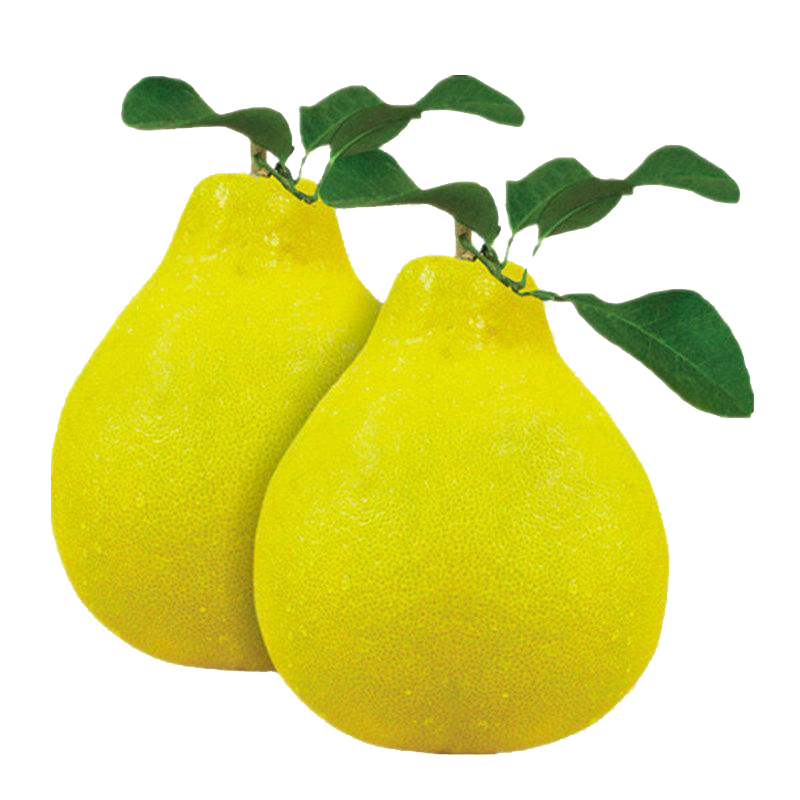 长寿柚（沙田柚）