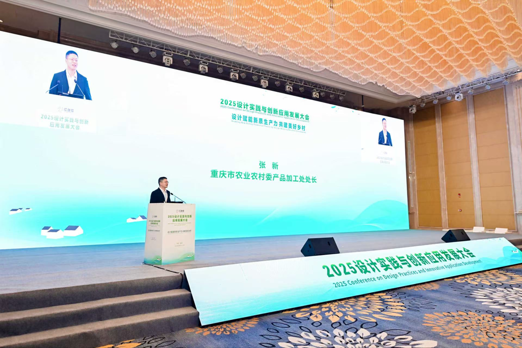 2025设计实践与创新应用发展大会在重庆召开 设计赋能新质生产力 共绘乡村振兴新蓝图